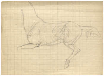 Visualizza l'immagine "FD Album 7, 16"